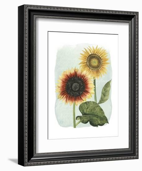 Sunflower Study I-Grace Popp-Framed Art Print