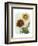 Sunflower Study I-Grace Popp-Framed Art Print