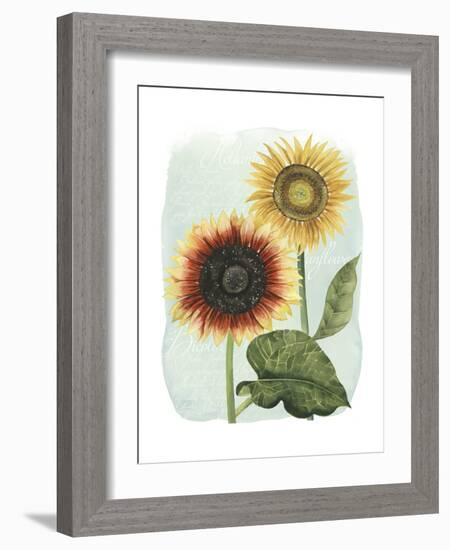 Sunflower Study I-Grace Popp-Framed Premium Giclee Print