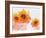 Sunflower Sunday-Bee Sturgis-Framed Art Print