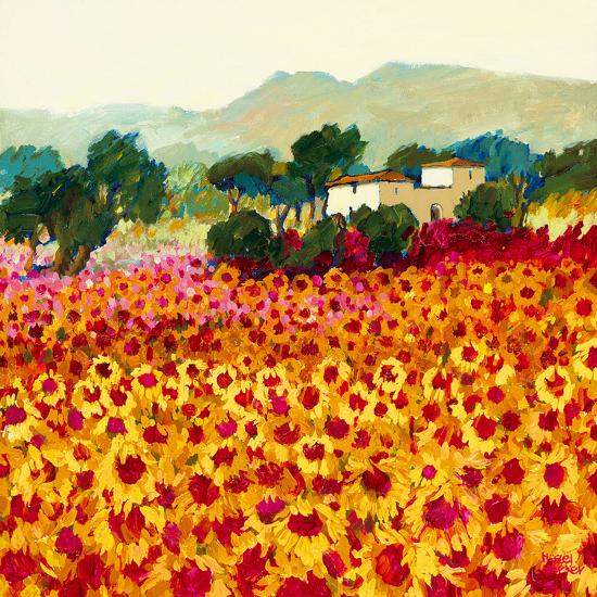 Sunflower Sunset Tuscany Art Print Hazel Barker Art Com