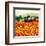 Sunflower Sunset, Tuscany-Hazel Barker-Framed Art Print