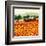 Sunflower Sunset, Tuscany-Hazel Barker-Framed Art Print