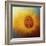 Sunflower Surprise-Jai Johnson-Framed Giclee Print