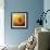 Sunflower Surprise-Jai Johnson-Framed Giclee Print displayed on a wall