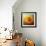 Sunflower Surprise-Jai Johnson-Framed Giclee Print displayed on a wall