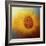 Sunflower Surprise-Jai Johnson-Framed Giclee Print