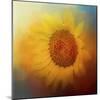 Sunflower Surprise-Jai Johnson-Mounted Giclee Print