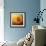 Sunflower Surprise-Jai Johnson-Framed Giclee Print displayed on a wall