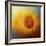 Sunflower Surprise-Jai Johnson-Framed Giclee Print