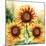 Sunflower Trio-Nicole DeCamp-Mounted Art Print