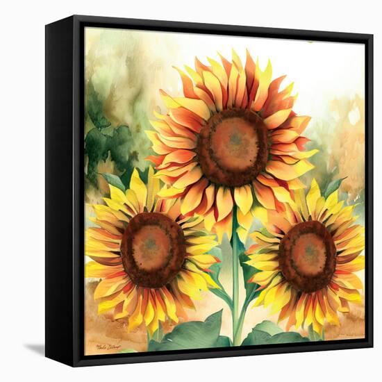 Sunflower Trio-Nicole DeCamp-Framed Stretched Canvas