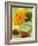 Sunflower (Variety Teddy Bear) in Glass Vase, Chinese Lanterns-Vladimir Shulevsky-Framed Photographic Print