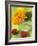 Sunflower (Variety Teddy Bear) in Glass Vase, Chinese Lanterns-Vladimir Shulevsky-Framed Photographic Print