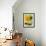 Sunflower (Variety Teddy Bear) in Glass Vase, Chinese Lanterns-Vladimir Shulevsky-Framed Photographic Print displayed on a wall