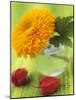 Sunflower (Variety Teddy Bear) in Glass Vase, Chinese Lanterns-Vladimir Shulevsky-Mounted Photographic Print