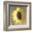 Sunflower-Erin Clark-Framed Art Print