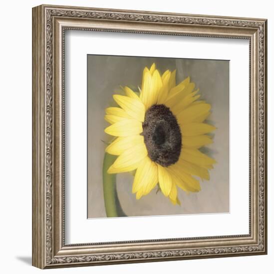 Sunflower-Erin Clark-Framed Art Print