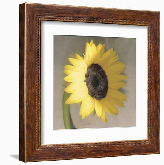 Sunflower-Erin Clark-Framed Art Print