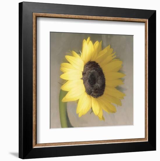 Sunflower-Erin Clark-Framed Art Print