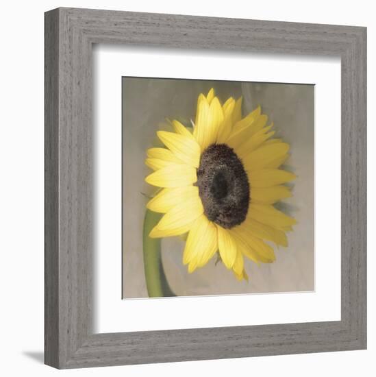 Sunflower-Erin Clark-Framed Art Print