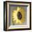 Sunflower-Erin Clark-Framed Art Print