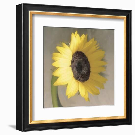 Sunflower-Erin Clark-Framed Art Print