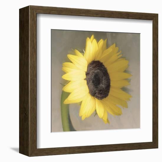 Sunflower-Erin Clark-Framed Art Print