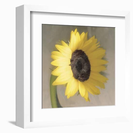 Sunflower-Erin Clark-Framed Art Print