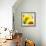 Sunflower-Nicole Katano-Framed Photo displayed on a wall