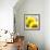 Sunflower-Nicole Katano-Framed Photo displayed on a wall