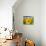 Sunflower-null-Premium Photographic Print displayed on a wall