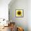 Sunflower-null-Framed Premier Image Canvas displayed on a wall