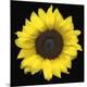 Premium Photographic Print