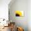 Sunflower-PASIEKA-Photographic Print displayed on a wall