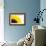 Sunflower-PASIEKA-Framed Photographic Print displayed on a wall