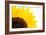 Sunflower-PASIEKA-Framed Photographic Print