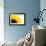 Sunflower-PASIEKA-Framed Photographic Print displayed on a wall