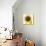 Sunflower-null-Mounted Photographic Print displayed on a wall