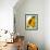 Sunflower-null-Framed Photographic Print displayed on a wall