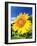 Sunflower-null-Framed Photographic Print