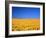 Sunflower-null-Framed Photographic Print