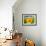 Sunflower-null-Framed Photographic Print displayed on a wall