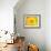 Sunflower-null-Framed Photographic Print displayed on a wall