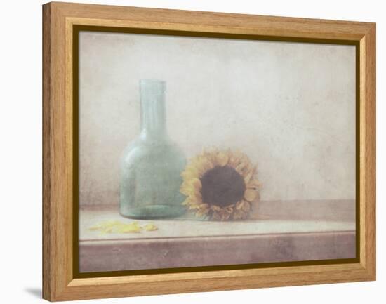 Sunflower-Delphine Devos-Framed Premier Image Canvas