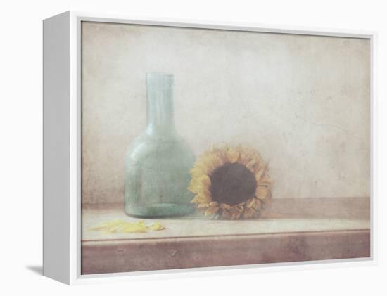 Sunflower-Delphine Devos-Framed Premier Image Canvas