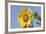 Sunflower-null-Framed Photographic Print