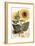 Sunflower-John Miller-Framed Giclee Print