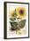 Sunflower-John Miller-Framed Giclee Print