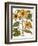 Sunflower-Besler Basilius-Framed Giclee Print